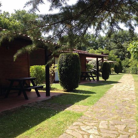 Camping Ecologic Lava Santa Pau Eksteriør billede